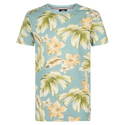 тениска,детски,тениски,petrol,industries,b,1050,tsr655,short,sleeve,t,shirt,ocean,(blue)