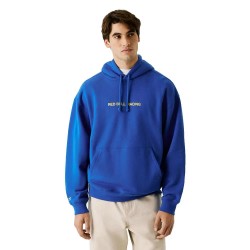 суичър,мъжки,пуловери,red,bull,racing,breaking,records,hoodie,blue,(electric,blue)