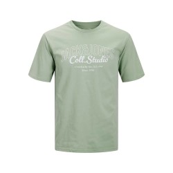 тениска,мъжки,тениски,jack,&,jones,makoto,short,sleeve,t,shirt,iceberg,green,big,print,(green)