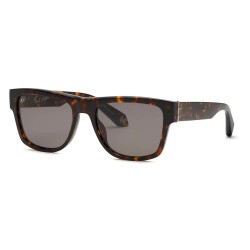 слънчеви,очила,слънчеви,очила,roberto,cavalli,fausto,puglis,sunglasses,brown,(shiny,brown,yellow,havana)