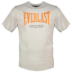 тениска,мъжки,тениски,everlast,short,sleeve,t,shirt,artic,melange,(grey)
