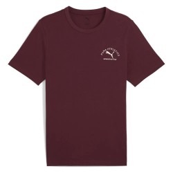 тениска,мъжки,тениски,puma,class,graphic,short,sleeve,t,shirt,ruby,shimmer,(red)