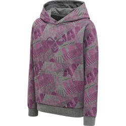 суичър,детски,блузи,hummel,space,jam,hoodie,amaranth,(grey)
