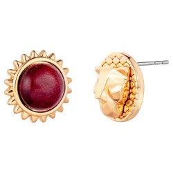 бижутерия,just,cavalli,watches,jcer01873200,earrings,golden
