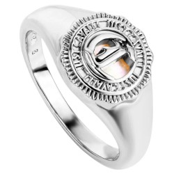 бижутерия,just,cavalli,watches,jcrg01313106,ring,silver