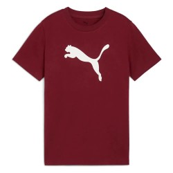 тениска,детски,тениски,puma,essentials,foundation,cat,logo,short,sleeve,t,shirt,ruby,shimmer,(red)