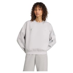 блуза,дамски,блузи,adidas,mercedes,amg,petronas,formula,one,team,silver,arrows,sweatshirt,grey,two,(grey)