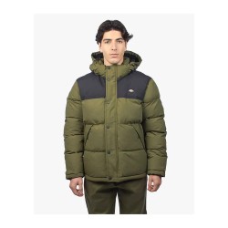яке,мъжки,якета,dickies,glacier,view,jacket,green