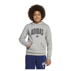суичър,детски,блузи,adidas,seasonals,essentials,collegiate,typography,hoodie,medium,grey,heather,black,(grey)