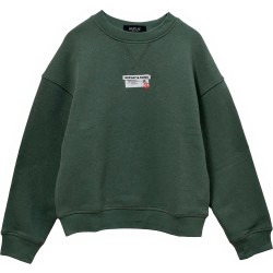 блуза,детски,блузи,replay,sb2076.050.23706,sweatshirt,green,(moss,green)