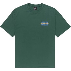 тениска,мъжки,тениски,quiksilver,desert,paradise,short,sleeve,t,shirt,trekking,green,(green)