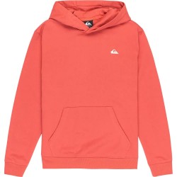 суичър,детски,блузи,quiksilver,basic,hoodie,mineral,red,(orange)