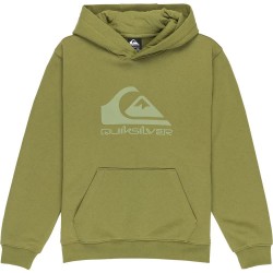 суичър,детски,блузи,quiksilver,comp,logo,hoodie,loden,green,(green)