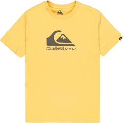 тениска,детски,тениски,quiksilver,ev,comp,logo,short,sleeve,t,shirt,rattan,(yellow)