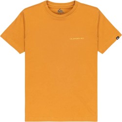 тениска,детски,тениски,quiksilver,ev,desert,waves,short,sleeve,t,shirt,almond,(yellow,orange)