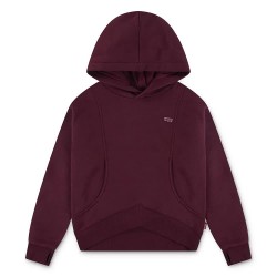 суичър,детски,блузи,levi´s,®,batwing,patch,hoodie,chocolate,truffle,(purple)
