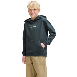 суичър,детски,блузи,jack,&,jones,norrebro,emb,hoodie,forest,river,(grey)