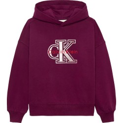 суичър,детски,блузи,calvin,klein,ig0ig03068,hoodie,purple,(polar,fig)