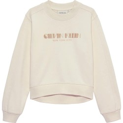 блуза,детски,блузи,calvin,klein,ig0ig03069,sweatshirt,beige,(whitecap,gray)