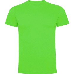 тениска,мъжки,тениски,roly,stafford,short,sleeve,t,shirt,pistachio,(green)