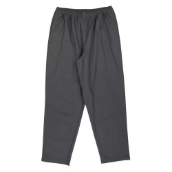 панталони,мъжки,панталони,santa,cruz,tab,pants,grey,(iron)