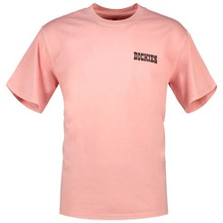 тениска,мъжки,тениски,дамски,тениски,dickies,buchtell,short,sleeve,t,shirt,pink,(bridal,rose)