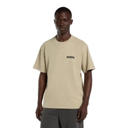 Тениска Dickies Darrtown short sleeve T-shirt - Beige (Eucalyptus) тениска,мъжки,тениски,дамски,тениски,dickies,darrtown,short,sleeve,t,shirt,beige,(eucalyptus)