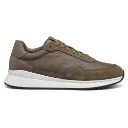 маратонки,мъжки,маратонки,дамски,маратонки,geox,branthon,trainers,brown,(dove,grey)