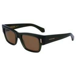 слънчеви,очила,слънчеви,очила,ferragamo,sf2011s,320,53,21,140,sunglasses,brown,(brown,green)