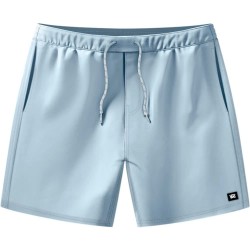 бански,гащета,мъжки,бански,костюми,vans,primary,ii,elastic,swimming,shorts,blue,(dawn,mist)