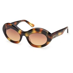 Слънчеви очила Pucci EP0246 woman sunglasses - Brown (Coloured Havana) слънчеви,очила,слънчеви,очила,pucci,ep0246,woman,sunglasses,brown,(coloured,havana)