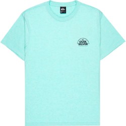 тениска,мъжки,тениски,дамски,тениски,quiksilver,dola,injected,slub,short,sleeve,t,shirt,green,(brook,green,injected,slub)