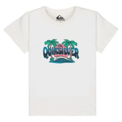 тениска,мъжки,тениски,дамски,тениски,quiksilver,ev,palm,horizon,short,sleeve,t,shirt,white,(snow,white)