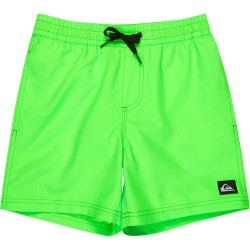 Бански гащета Quiksilver Everyday Volley 14´´ swimming shorts - Green (Green Gecko) бански,гащета,детски,бански,костюми,quiksilver,everyday,volley,14´´,swimming,shorts,green,(green,gecko)