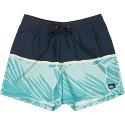 бански,гащета,мъжки,бански,костюми,quiksilver,everyday,poolsider,15´´,swimming,shorts,blue,(dark,navy,panel,nat,geo)