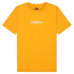 тениска,мъжки,тениски,дамски,тениски,quiksilver,fineline,short,sleeve,t,shirt,yellow,(mineral,yellow)