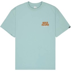 тениска,мъжки,тениски,дамски,тениски,quiksilver,fruits,tide,short,sleeve,t,shirt,green,(blue,haze)
