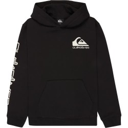 суичър,детски,блузи,quiksilver,omni,logo,hoodie,black,(black)