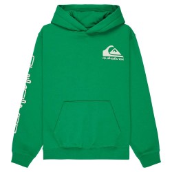 суичър,детски,блузи,quiksilver,omni,logo,hoodie,green,(leprechaun)