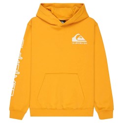 суичър,детски,блузи,quiksilver,omni,logo,hoodie,yellow,(mineral,yellow)