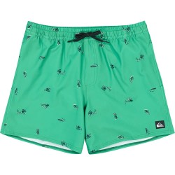 бански,гащета,мъжки,бански,костюми,quiksilver,stretch,printed,volley,16´´,swimming,shorts,green,(leprechaun,spaced,out)