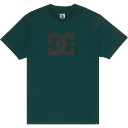 тениска,мъжки,тениски,дамски,тениски,dc,shoes,star,short,sleeve,t,shirt,green,(ponderosa,pine)