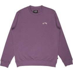 блуза,мъжки,пуловери,billabong,arch,sweatshirt,purple,(dusty,grape)