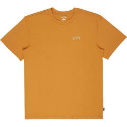 тениска,мъжки,тениски,дамски,тениски,billabong,arch,wave,short,sleeve,t,shirt,brown,(honey)