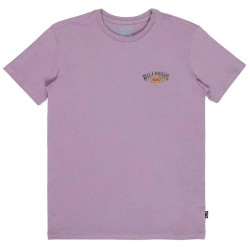 тениска,мъжки,тениски,дамски,тениски,billabong,burn,out,short,sleeve,t,shirt,purple,(purple,ash)