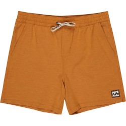 бански,гащета,мъжки,бански,костюми,billabong,every,other,day,swimming,shorts,brown,(spice,gold)