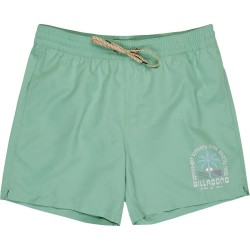 бански,гащета,мъжки,бански,костюми,billabong,foundation,swimming,shorts,green,(green,ash)
