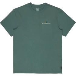 тениска,мъжки,тениски,дамски,тениски,billabong,secret,spot,short,sleeve,t,shirt,green,(sea,green)