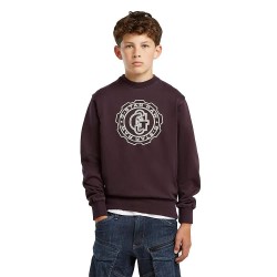 блуза,детски,блузи,g,star,d29172,01,sweatshirt,purple,(chocolat,plum)