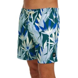 бански,гащета,мъжки,бански,костюми,o´neill,print,16´´,swimming,shorts,multicolor,(blue,tropicana,big)
